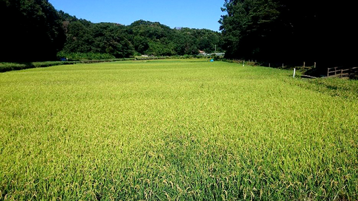 実証実験を行うっ横浜市の「寺家ふるさと村」