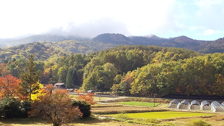 山之村の風景