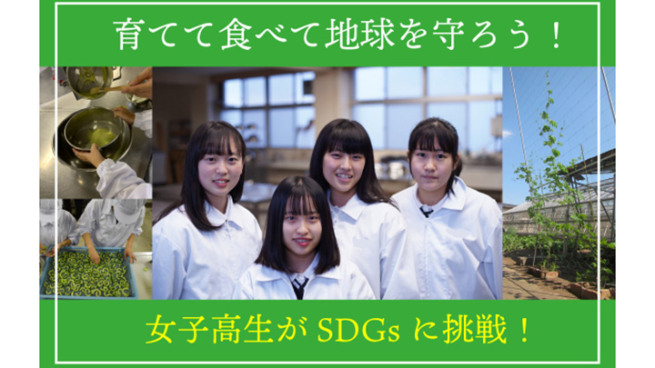 舘林産ゴーヤを活用　SDGs推進へ女子高生がクラウドファンディング開始