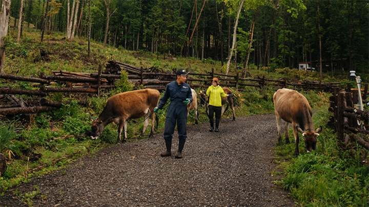 山地酪農を活かした森林保全活動