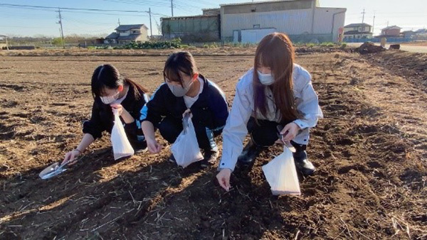地元の商工高校の生徒が百年小麦の播種を体験