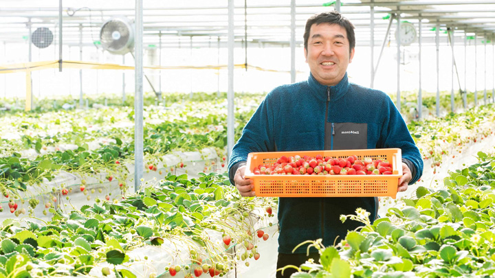 甘酸っぱさが特徴の苺を育てている「岩窪農場のいちご園」