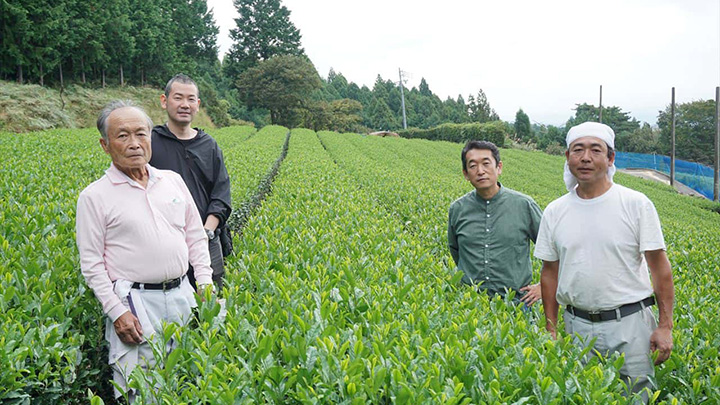 「界のお茶羊羹」の茶葉選びは浜松市農業振興課が協力