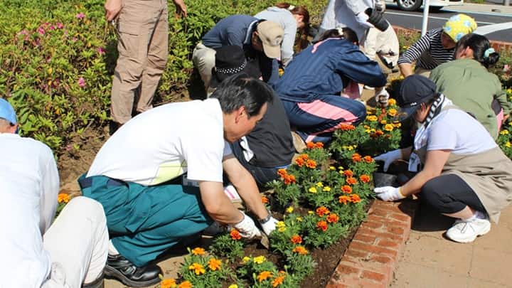 千葉大学が「春の花植えイベント」開催
