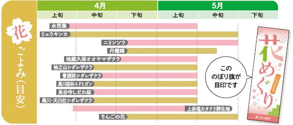 飯綱町の花ごよみ