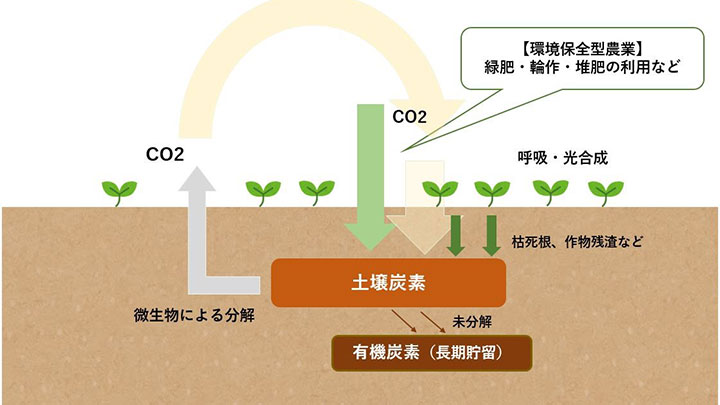 農地への炭素貯留