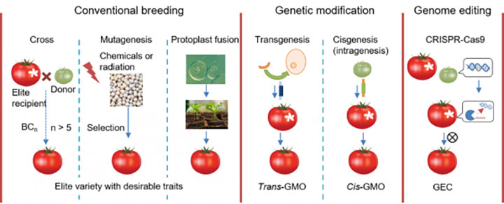 「農業における遺伝子工学」最新調査レポート発売　IDTechEx