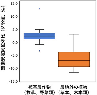 調査地でシカが採食する主な農作物および農地外の植物のδ15N値