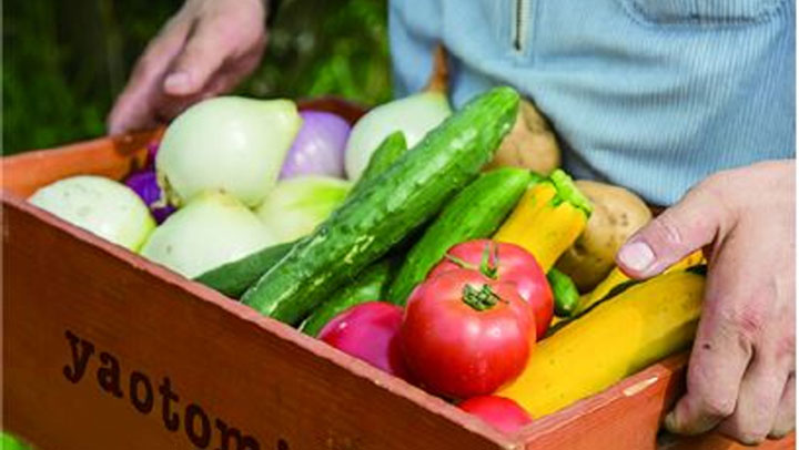 yaotomiこだわりの野菜　東海エリアの「イオンネットスーパー」で予約販売