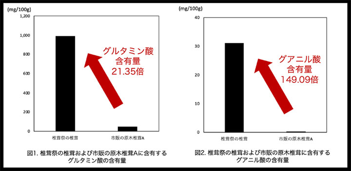 旨味成分の含有量