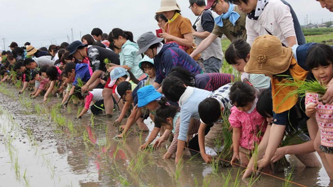 2019年に開催した「田んぼのがっこう・田植え」の様子