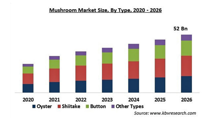 マッシュルームの市場規模　2026年に520億米ドル到達予測