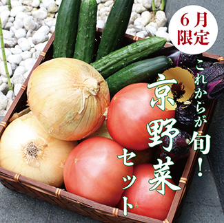 6月限定販売　京都の旬を食卓に　産地直送の「京野菜セット」マルヒサ