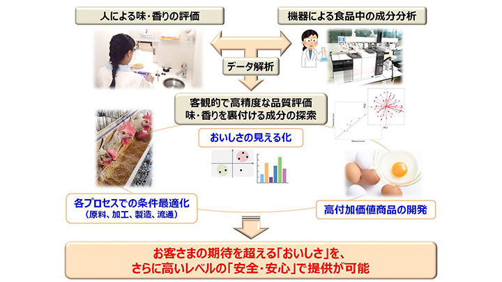 「メタボロミクス」を食品に応用　鶏卵の品質の客観的評価へ可能性を示唆　キユーピー