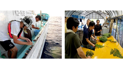 東京の島で島暮らし　漁業・農業就業体験者を募集中　東京都島しょ振興公社