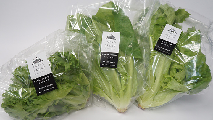 東京メトロが生産した葉野菜の「とうきょうサラダ」