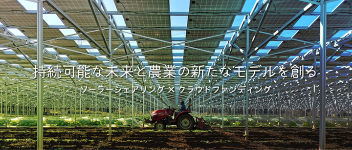 持続可能な農業と太陽光発電の新モデルへ　FARMIGO設立　マイファーム×千葉エコ・エネルギー