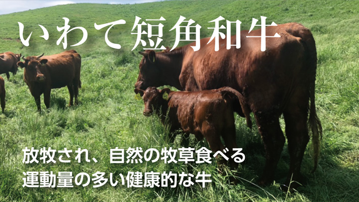 赤身の伝統和牛「いわて山形村短角牛」の生産者支援　Makauakeで限定販売