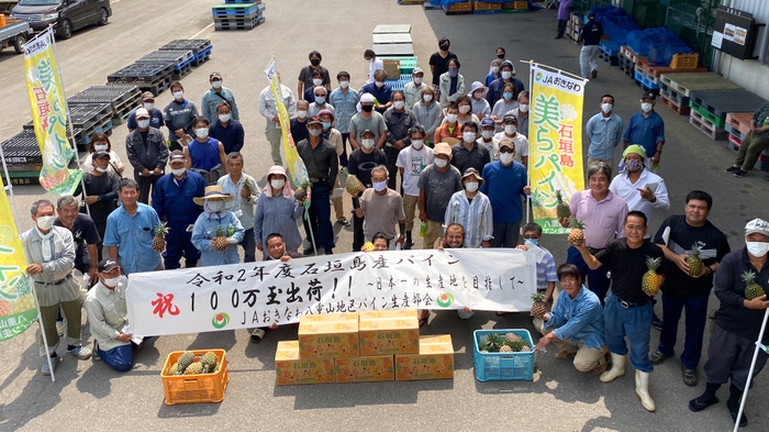 ＪＡおきなわ八重山地区パイン生産部会のメンバー