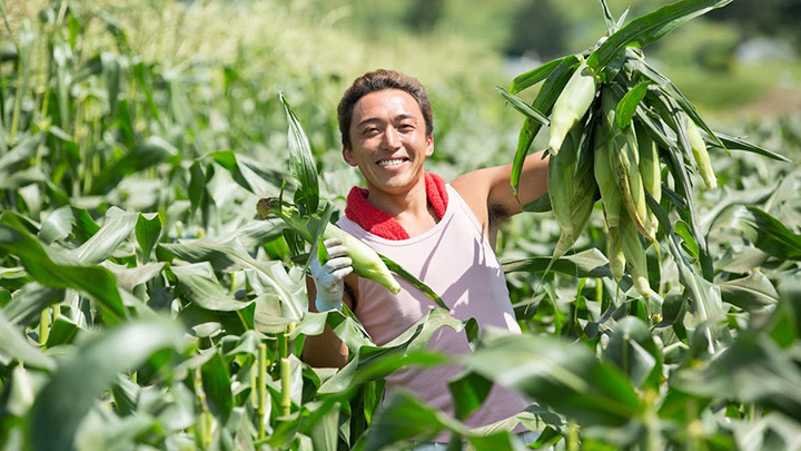 北海道の農産物が送料無料　農水省の送料補助事業活用　北海道旬直