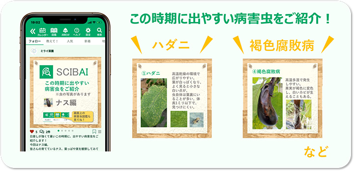 家庭庭菜園支援アプリ「SCIBAI」サービス提供開始　ミライ菜園