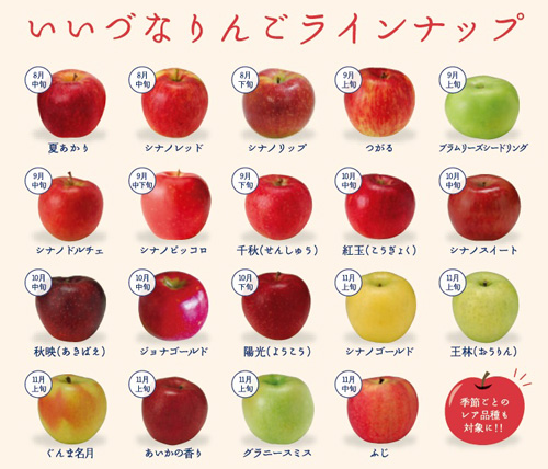 スタンプラリー対象りんごラインナップ