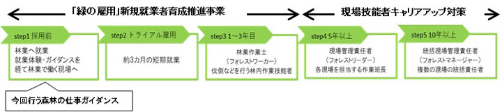 「緑の雇用」新規就業者育成推進事業・現場技能者キャリアアップ対策