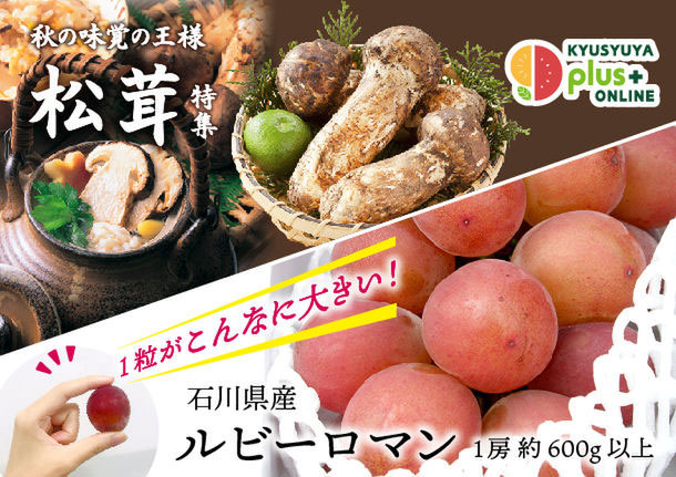 秋の味覚「国産松茸」と「ルビーロマン」を販売中　九州屋plus+