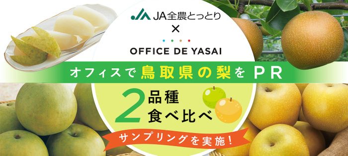 「オフィスで野菜」鳥取県産梨の冷蔵サンプリング実施　ＪＡ全農とっとり