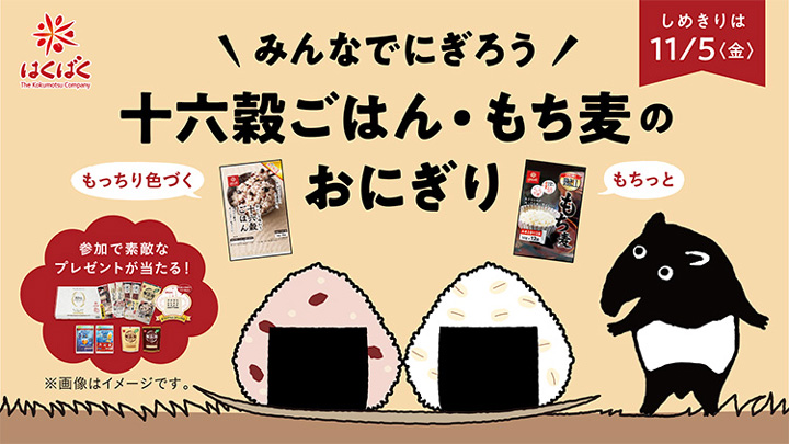 十六穀ごはんともち麦で「おにぎりアクション」キャンペーン」実施中　はくばく