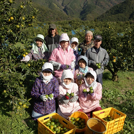 北山村のじゃばら生産者