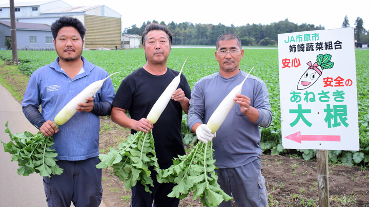 姉崎だいこんの生産者