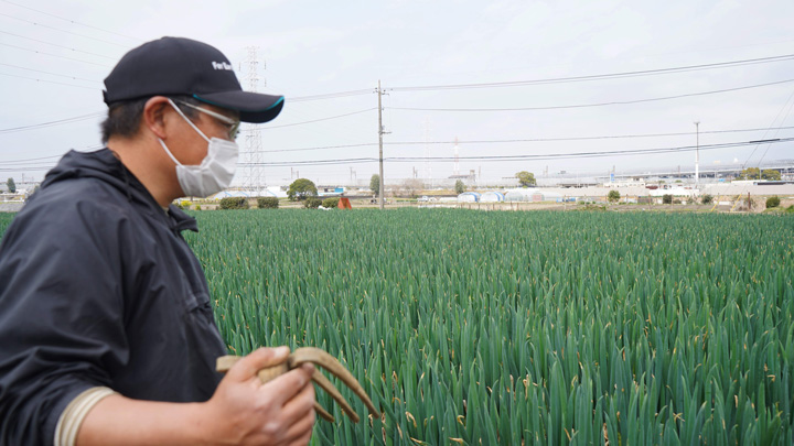 矢切ねぎ生産者の唐澤さん