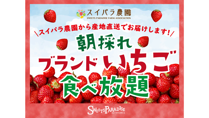 スイパラ農園組合農家から直送「朝採れブランドいちご食べ放題」開催