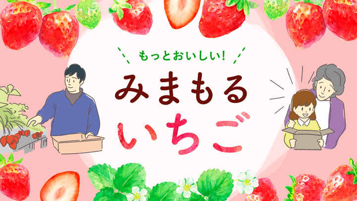 育てるところから予約「もっとおいしい！みまもるいちご」期間限定で販売　産直アウル