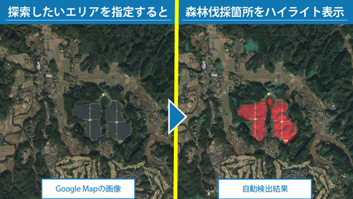 森林伐採進行状況を衛星データで可視化「GRASP EARTH Forest」開発　リッジアイ