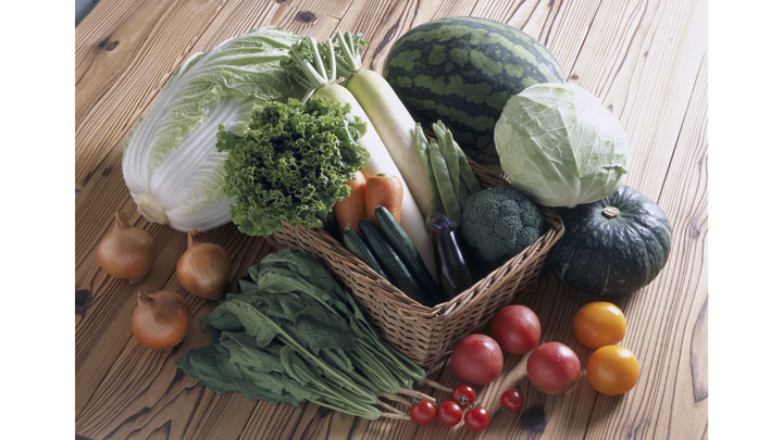 よく食べた野菜「もやし」がトップ5入り「2021年 野菜の総括」　タキイ種苗