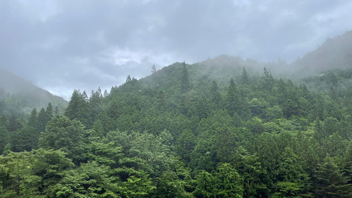 岐阜県白川流域で独自のサプライチェーン「白川LSCシステム」始動