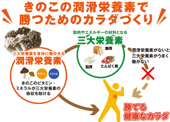 きのこの「潤滑栄養素」