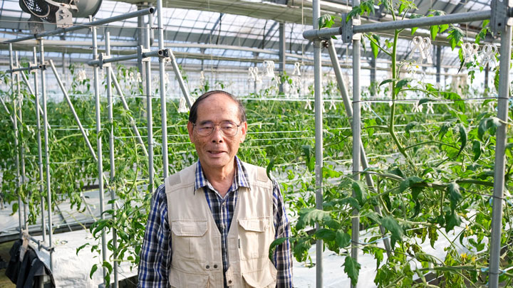 鹿児島県薩摩川内市のトマト農家「さつま農園」が承継者を募集　リレイ