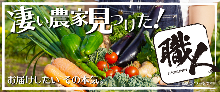 「凄い農家」の野菜セット「職人シリーズ」発売　イオンリテール