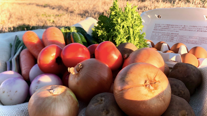 農業と飲食業を繋ぐ「地産Net」から派生　守谷市で買物サポート事業「もりベジ」便スタート