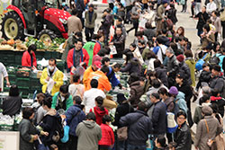 コープみらい「きやっせ物産展2017」