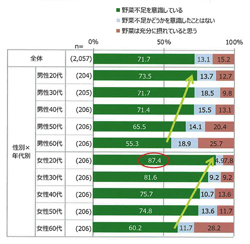 野菜不足意識