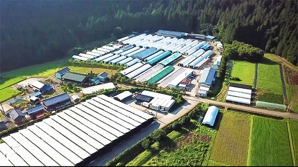 シイタケでコロナ帰省・外出の自粛を支援　岐阜県出身の若者に菌床を無料送付　ハルカインターナショナル