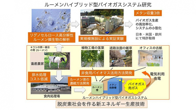 脱炭素社会を構築する新エネルギー生産技術の開発　新潟食料農業大学