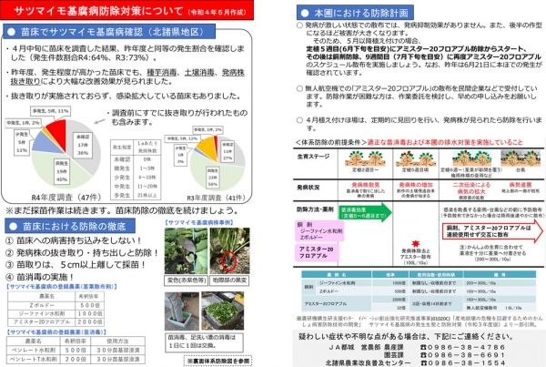 さつまいも基腐病