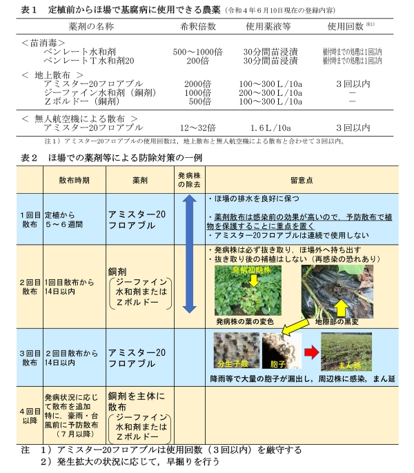 【注意報】サツマイモ基腐病　県本土・熊毛地域で発生　鹿児島県-表