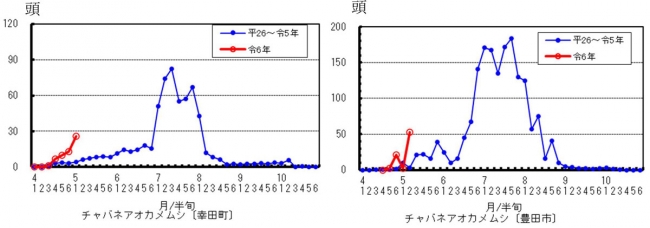 フェロモントラップにおけるチャバネアオカメムシの誘殺状況
