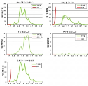 図2：府中果樹研究所の予察灯における主要4種の果樹カメムシ類の誘殺状況